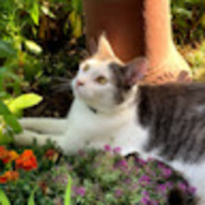 Meet your Posher, Breanna